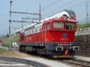 la D 752 509 già  appartente alla Del Fungo Giera nello scalo di Chiasso. (27/05/2008; foto Walter Bonmartini / tuttoTreno)