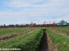 La E 483 009NC di Nord cargo alla testa del treno MRS 51343 Domo2-Reggio Emilia, nei pressi di Santo Stefano Lodigiano. (28/03/2010; foto Alessandro Destasi / tuttoTreno)