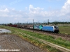 La E 483 108 delle Nord Cargo, con la E 483 009NC di rimando, alla testa dell'EUC 45653 Torino-Domo 2. (Olcenengo, 08/05/2010; foto Massimo Rinaldi / tuttoTreno)