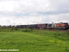 La locomotiva E 483 051 GC dell'impresa GTS alla testa del treno 55023. (Rubiera, 08/05/2010; foto Marco Cacozza / tuttoTreno)