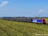 La E 474 015SR di SBB Cargo Italia alla testa di un treno di carri CFL Cargo sulla Domodossola-Novara. (Vignale, 28/08/2009; foto Alessandro Destasi / tuttoTreno)