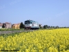 La D 345 1127 isolata effettua il treno NCLS 72624 sulla Rovigo-Verona. (Lendinara, 26/04/2010; foto Riccardo Fogagnolo / tuttoTreno)