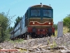 La D 443 1030 alla testa del treno storico Taranto-Spinazzola organizzato da ATSP. (Canne della Battaglia, 06/06/2010; Roberto Galati / tuttoTreno)