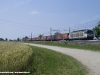 La E 633 294 alla trsta del TC 54149 Genova Voltri a Mare-Modena. (Fiorenzuola, 11/06/2010; foto Alessandro Destasi / tuttoTreno)