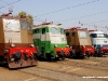 le locomotive storiche E 636 265, E 645 104, E 636 243 e E 444 001 al Porte Aperte 2008 di Milano Smistamento. (11/10/2008; foto Andrea Camatta / tuttoTreno)