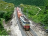 La E 655 196 alla testa del TC 56179 Jesi - Genova Sampierdarena ripreso nel tratto piÃ¹ acclive della linea Falconara-Orte, traÂ Fabriano eÂ Fossato di Vico. (04/06/2010; foto Riccardo Alberoni / tuttoTreno)