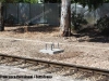 fse-base_palo-valenzanoba-2012-06-14-comaiannifrancesco-immagine-051-wwwduegieditriceit-web