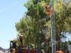 fse-sirti-posa_palo-valenzanoba-2012-06-14-comaiannifrancesco-immagine-162-wwwduegieditriceit-web