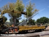 fse-sirti-sollevamento_palo-valenzanoba-2012-06-14-comaiannifrancesco-immagine-135-wwwduegieditriceit-web