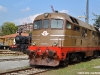 La D 343 4010 esposta al Porte Aperte di Pistoia. (24/09/2011; foto Michele Sacco / TuttoTreno)