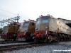 Le E 428 014, 226 e 202 esposte  al Porte Aperte di Pistoia. (24/09/2011; foto Michele Sacco / TuttoTreno)