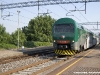 Il complesso TAF 08 (ALe426/ALe506 008), nella nuova livrea di Trenord, effettua il treno 23044 TreviglioâVarese della linea S2. (Albizzate-Solbiate Arno, 28/06/2011; foto Paolo Di Lorenzo / tuttoTreno)