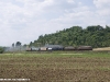 Il trasferimento delle E 428 226 e 014 e della 685 089 da Pistoia a Roma per l'effettuazione del Caritas Express (Collevecchio; 19/05/2011; foto Davide Porciello / tuttoTreno)
