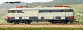 Porciello